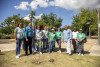 Invitación a la siembra de árboles en Ponce