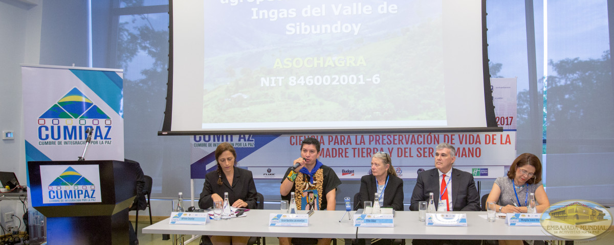 Conformación de la mesa seis: Vera Bohórquez, Oscar Fernando Bastidas Jacanamijoy, Adriana Zacarías (Moderadora), David Proenza y Magda Ivonne Pinzón Mesa Seis