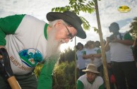 Celebremos la vida con la madre tierra: jornada de arborización en Puerto Rico 