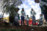 Conmemoracion Dia Internacional del Medio Ambiente en Chile