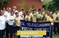 1650 trees were planted in Mexico on June 5th 