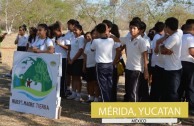 1650 trees were planted in Mexico on June 5th 