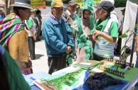 Bolivia celebra el Día Mundial de la Educación Ambiental