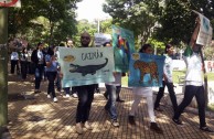 Paraguay supports the World Wildlife Day