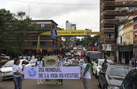 Paraguay supports the World Wildlife Day