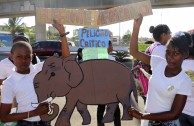 The Dominican Republic joins the celebration of World Wildlife Day