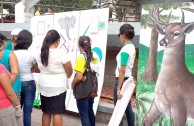 Parada Ambiental por el Día Mundial de la Vida Silvestre en la Plaza Central de Tegucigalpa - Honduras