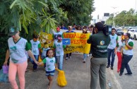 Brasil se une al Día Internacional de la Vida Silvestre