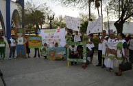 Con Desfile Y Parada Ambiental Celebran El” Dia Mundial De La Vida Silvestre” En Matamoros, Tamaulipas