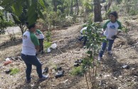 Activistas por la paz en Costa Rica sembraron 50 árboles nativos