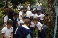 Una siembra consciente en toda Venezuela por el Día Mundial de la Madre Tierra