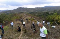 Una siembra consciente en toda Venezuela por el Día Mundial de la Madre Tierra