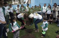 Jornada de Arborizacion en Chile
