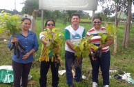 En Brasil actividades ambientales promueven la participación ciudadana