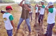 En Honor a la Madre Tierra fueron sembrados más de 3.500 árboles en Honduras
