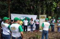 Recuperan importantes zonas de Ecuador con jornadas de reforestación