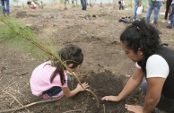 7.350 estudiantes en Guatemala reciben formación ambiental para el cuidado y restauración de la Madre Tierra