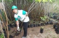 Activistas por la Paz siembran miles de árboles en la provincia de Mendoza