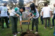 Activists for peace gather at the 5th edition of Tree Week