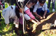 Programa Hijos de la Madre Tierra fomenta una cultura ambiental sostenible