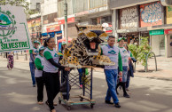 día mundial vida silvestre, Colombia, marcha, animales vía extinción  