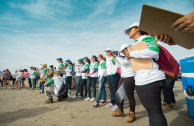 Volunteers participating during the International Coastal Cleanup Day