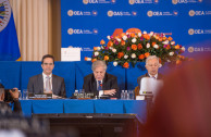 The GEAP participates in the 48th Sessions Period of the General Assembly of the OAS