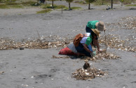 Limpieza de playas en Guatemala
