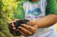Reforestation campaign for the lake basin of Amatitlán, Guatemala.