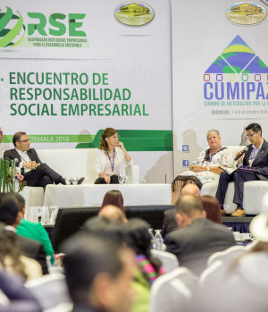 RSE y negocios sustentables