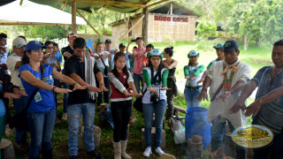 guardianes madre tierra indigenas