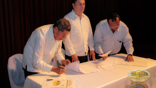 licenciados