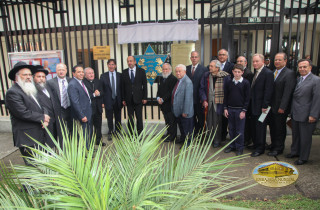 Exposición placa