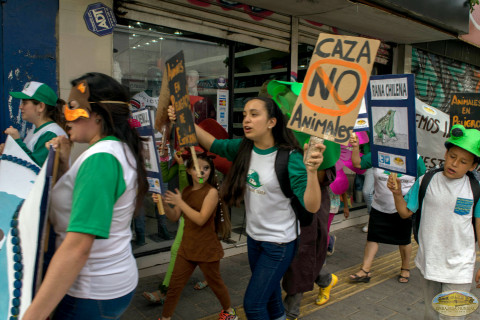 No a la caza de Animales