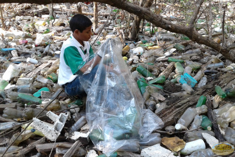 botellas en bosque