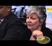 CUMIPAZ - Sesión Diplomática, Política y Parlamentaria - Dra. Ana Elisa Osorio
