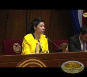 Conclusiones y cierre de la Sesión Educativa - CUMIPAZ 2016