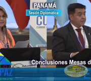 CUMIPAZ 2017 - Sesión Diplomática, Parlamentaria y Política - Conclusiones Mesas de Trabajo | EMAP