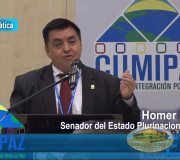 CUMIPAZ 2017 - Sesión Diplomática, Parlamentaria y Política - Homer Menacho - Mesa 2 | EMAP