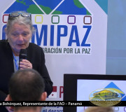 CUMIPAZ 2017 - Sesión Ciencia - Dra. Vera Bohórquez  | EMAP