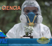 La ciencia y el saber indígena en la CUMIPAZ | EMAP