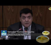 Sesión Diplomática -  Mesa 1: Senador Homer Menacho